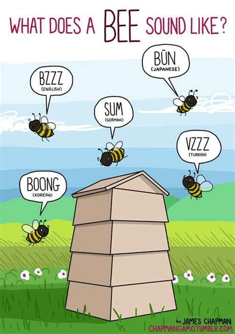 Bee sounds in other languages | Animal sounds, Bee, Language