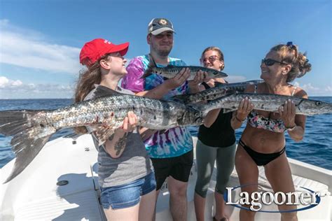 Barracuda | Lagooner Fishing | Saltwater Gamefish