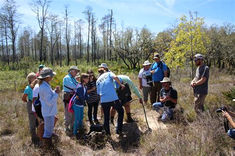 IMG_2051 | Photo by Gina Philhower, FWC | Wildlife Management Areas ...