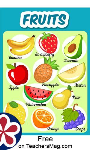 Fruits. Free Food Group Posters | Food groups for kids, Group meals, Healthy food activities for ...