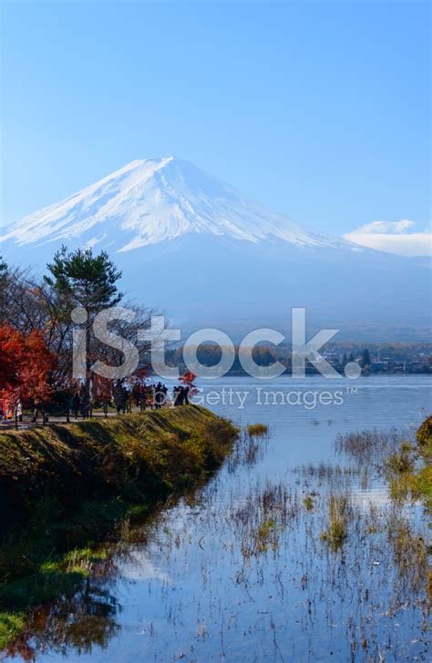 Mt.Fuji And Lake Kawaguchi In Autumn Stock Photo | Royalty-Free | FreeImages