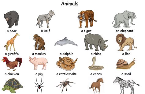 635 FREE Animals Worksheets