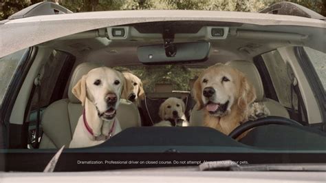 [VIDEO] Humorous Subaru Commercial With Dog Family – Doggie Outpost