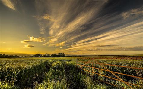 Fence on the green field HD desktop wallpaper : Widescreen : High ...