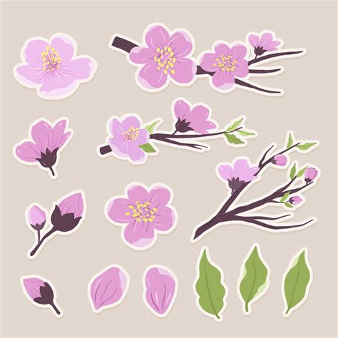 Cherry Blossom Stickers 6916512 Vector Art at Vecteezy