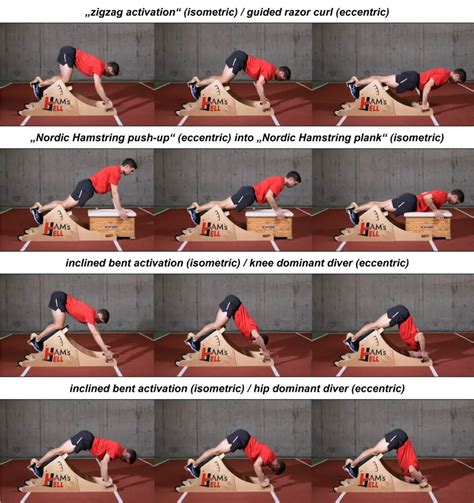 Eccentric Hamstring Exercises Pdf | EOUA Blog