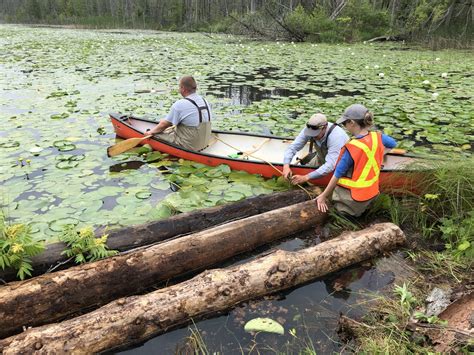 Fresh Water Conservation: The Loblaw Water Fund | WWF.CA