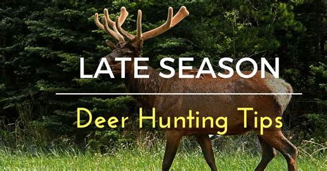 7 Greatest Late Season Deer Hunting Tips - Elite Huntsman