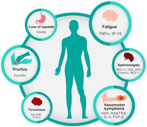 Cancers | Free Full-Text | The Critical Role of Inflammation in the Pathogenesis and Progression ...