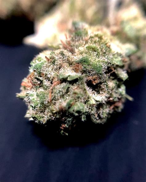 Strain Review: AK-47 by Rythm - The Highest Critic