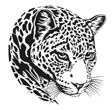 Easy Jaguar Head Drawing