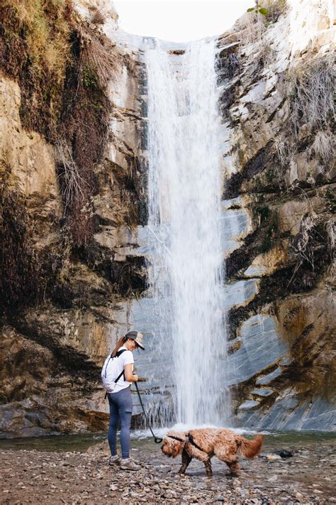 Hike to Trail Canyon Falls in Angeles National Forest — Chrissi Hernandez