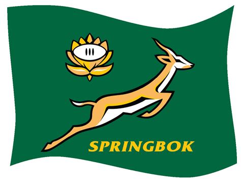 Springbok Wave | Cape To Cairo