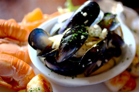 Why Scotland is a Must-Visit Destination for Seafood Lovers