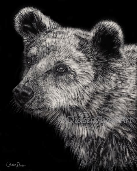 Scratch Art Animals