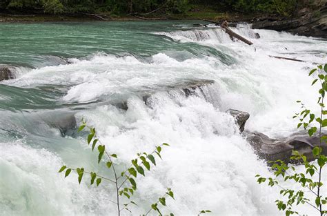 Rearguard Falls of the Fraser River in British Columbia, Canada Photograph by Ralf Broskvar ...