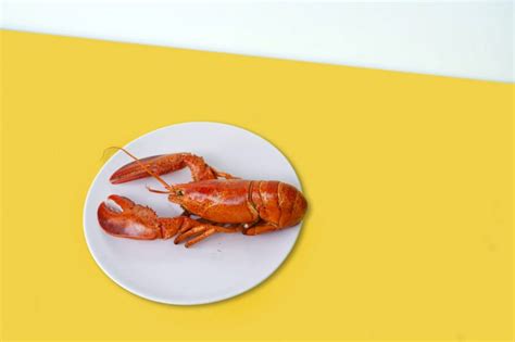 Anisakis simplex: what is it and how is it linked to seafood?