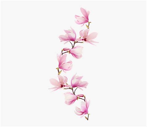 Pink Magnolia Tattoo, HD Png Download , Transparent Png Image - PNGitem