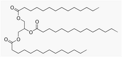 Skeletal Formula Of Trimyristin - Stearin Structure, HD Png Download - kindpng