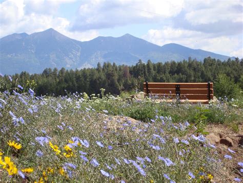 The Arboretum at Flagstaff - All You Need to Know BEFORE You Go (2024)