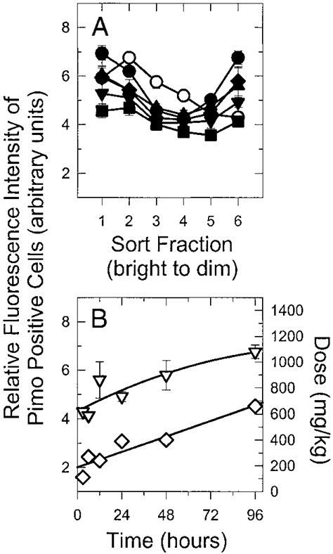 Relative fluorescence intensity of pimonidazole (Pimo) -labeled tumor ...