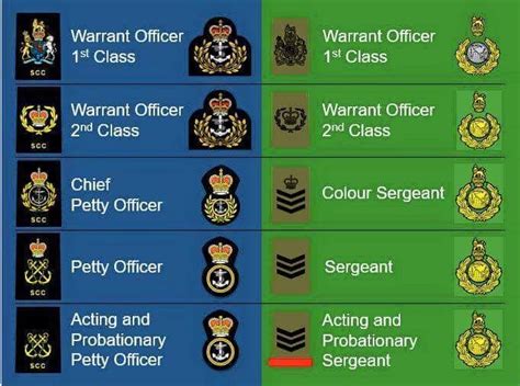 Royal Marines Rank Structure