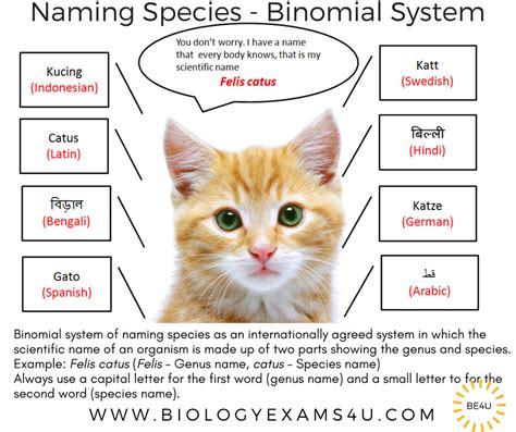 IGCSE Biology Revision Notes - Binomial system (Concept and use of a classification system)