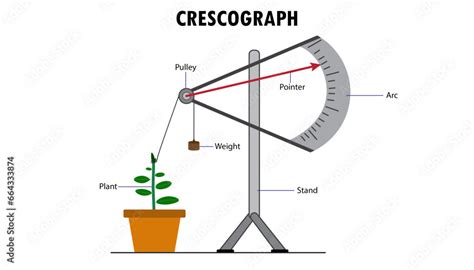 Crescograph diagram, how it works vector de Stock | Adobe Stock