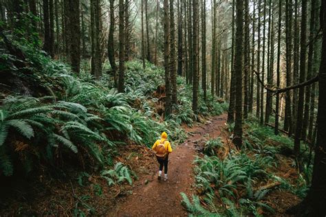 Hiking In The Pacific Northwest: 10+ Insanely Useful Tips For Your Next Adventure | The Mandagies