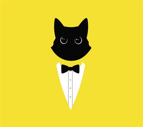 Yellow cat, yellow, cat, HD wallpaper | Peakpx