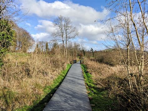 Blessington Greenway – Liffey Lake – Ireland – Life's Adventures