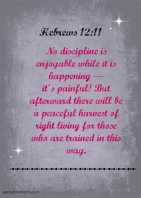 Discipline Bible Quotes. QuotesGram