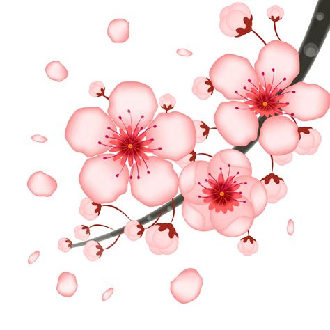 Japanese Cherry Blossom Art Wallpaper