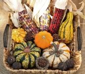Fall Harvest Free Stock Photo - Public Domain Pictures
