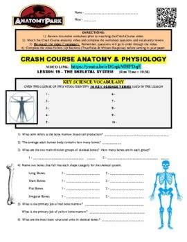 Crash Course Anatomy & Physiology #19 - Skeletal System (human body ...