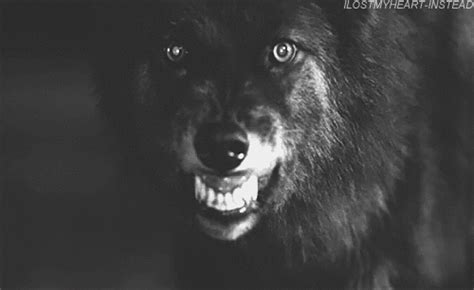 a black and white photo of a wolf's face with it's mouth open