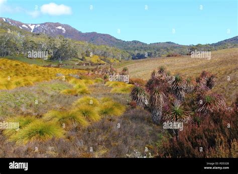 Cradle Mountain Hiking Stock Photo - Alamy