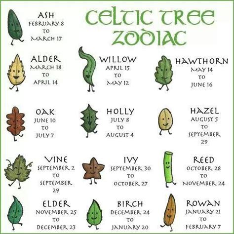 Celtic tree zodiac | Horoscopo celta, Celta, Signos celtas