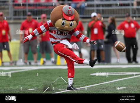 Ohio State mascot Brutus Buckeye kicks field goals prior to the ...