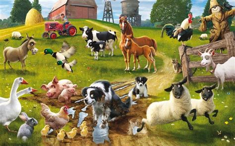 Real Farm Animals Background