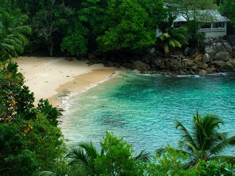 Seychelles - Glacis | View On Black Glacis, Mahe in the Seyc… | Nichol ...