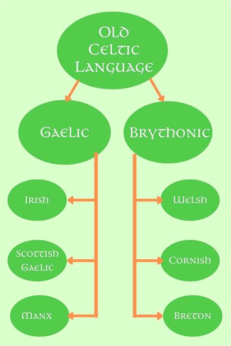 The Celtic Languages