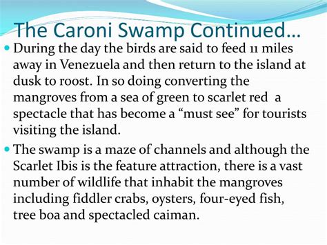 PPT - Trinidad’s Caroni Swamp (mangrove) PowerPoint Presentation, free download - ID:3460505