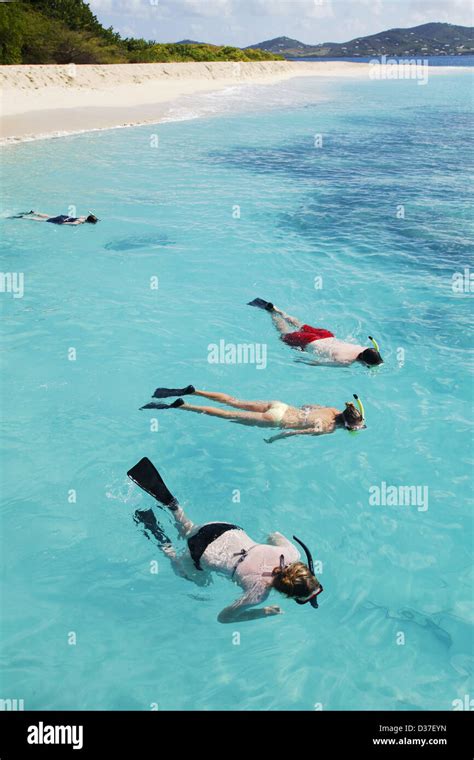 Snorkeling, Buck Island, US Virgin Islands, Caribbean Stock Photo - Alamy