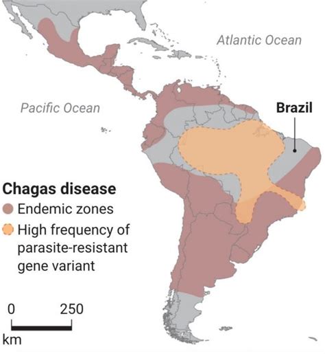 Amazon Peoples Resist 'Kissing-Bug Disease' » Explorersweb