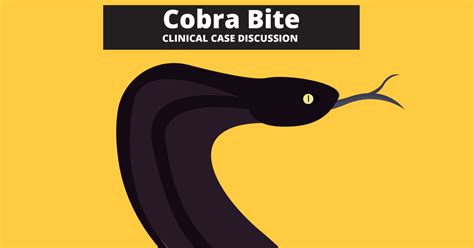 Cobra Bites – Clinical Case Discussion - Tiny Medicine