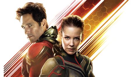 Ant Man And The Wasp Movie 12k Wallpaper,HD Movies Wallpapers,4k Wallpapers,Images,Backgrounds ...