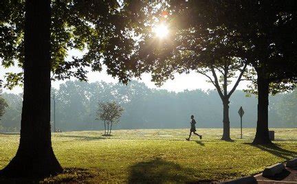 Temperatures soar in N.J., with excessive heat warning for some counties - nj.com