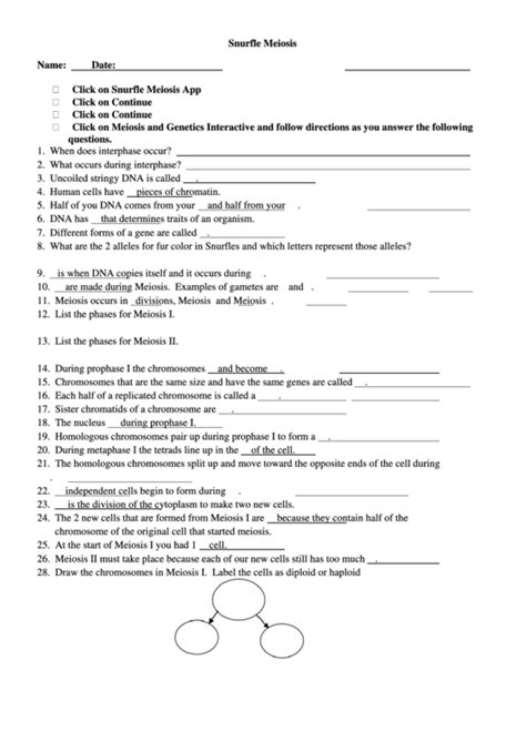 Snurfle Meiosis printable pdf download