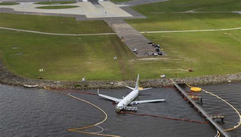 All pets presumed dead after Florida plane crash | Newshub